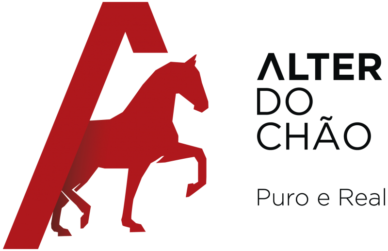 Alter do Chão - Public Services