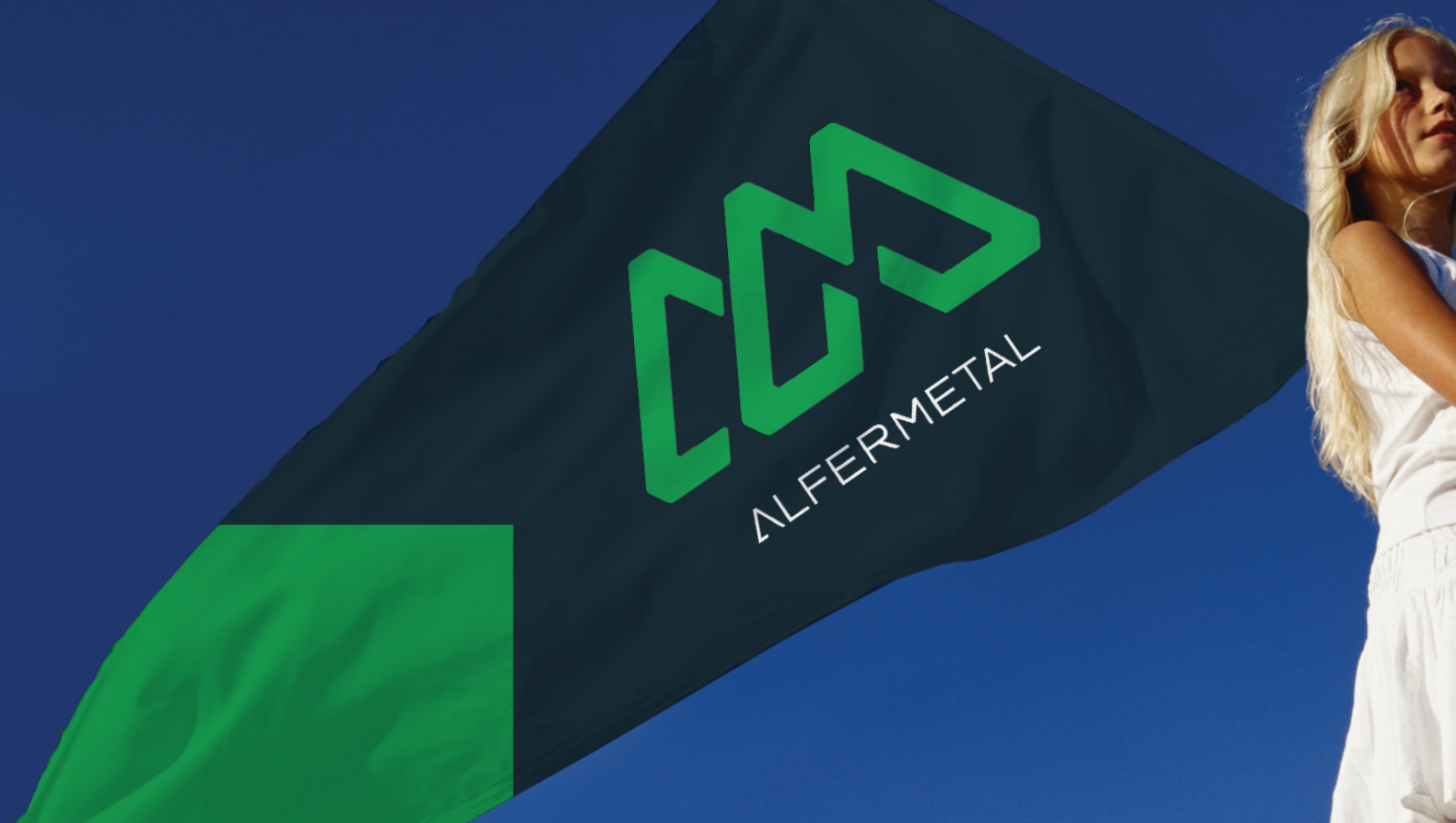 Alfer Metal - Professional services