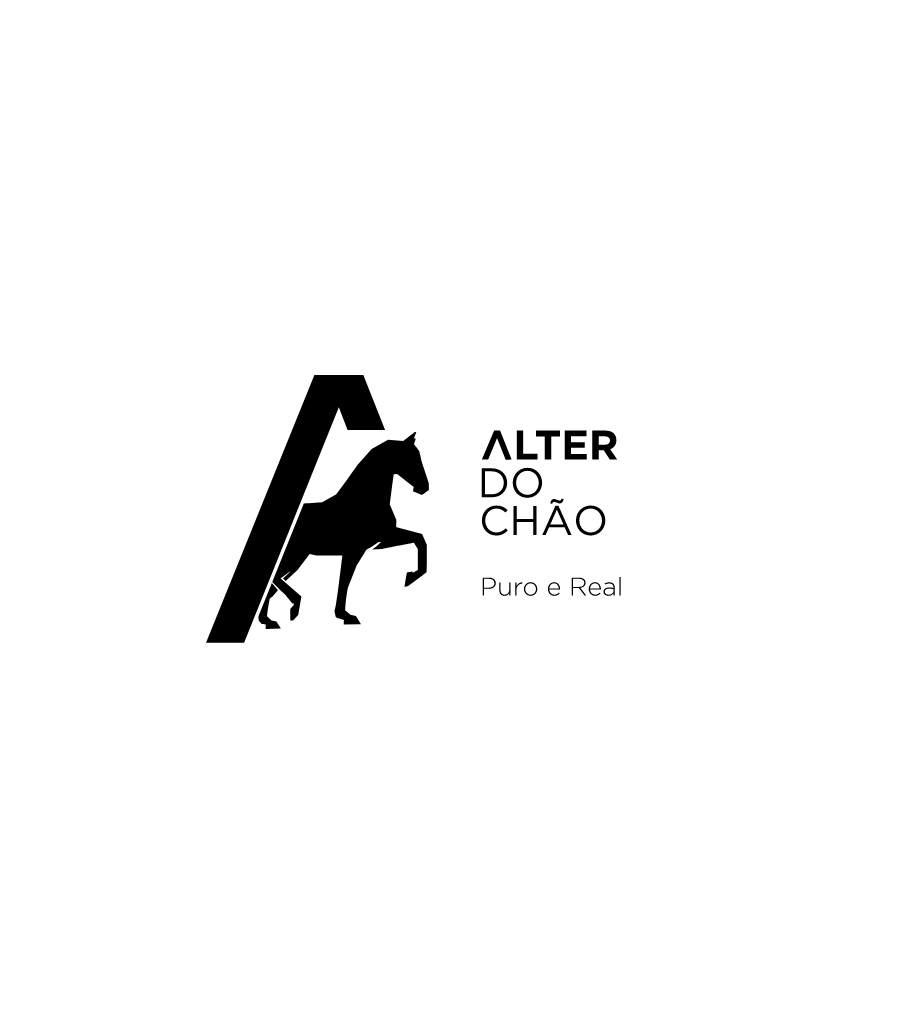 Alter do Chão - Public Services
