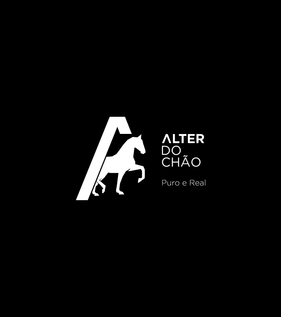 Alter do Chão - Public Services