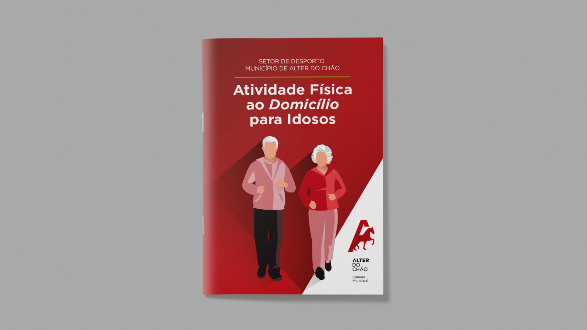 Alter do Chão - Public Services